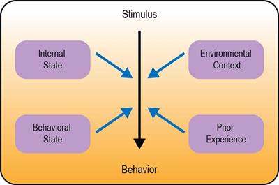 Neural Circuits Underlying Behavioral Flexibility: Insights From Drosophila